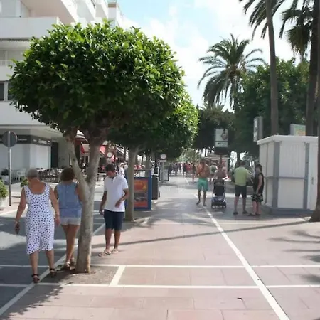 Superb Beach Front Flat, Down Town Apartment