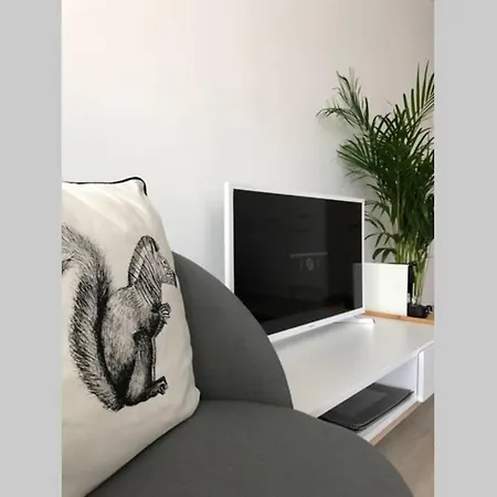Apartment Superb Beach Front Flat, Down Town