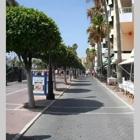 Superb Beach Front Flat, Down Town Apartment